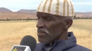 Tadighoust تاديغوست مخلفات البرد على المحاصيل الزراعية