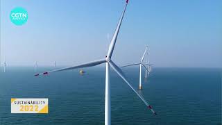 China’s pledge to be carbon neutral by 2060