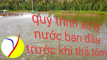 QUY TRÌNH XỬ LÝ NƯỚC TRƯỚC KHI THẢ TÔM# nuôi tôm ao đất