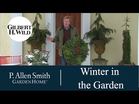 Winter Season Celebrations