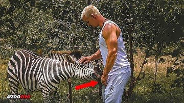 10 Funny Moments of Dean Schneider with Animals