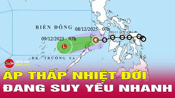 Cập nhật tin tức mới nhất trưa 8/12: Dự báo khi vào Biển Đông, áp thấp nhiệt đới sẽ suy yếu nhanh
