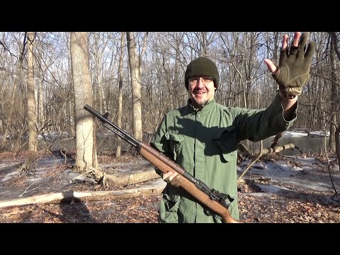 Air Venturi M1A Springfield Armory Replica .22 Caliber Pellet Rifle - Should You Buy One?