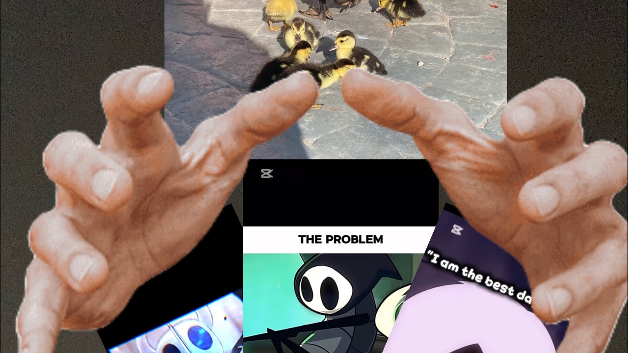 All hollow knight editz from my basement