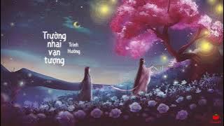 [Vietsub   Pinyin] Trường Nhai Vạn Tượng - Trình Hưởng | 长街万象 - 程响 || Nhạc cổ phong ♪
