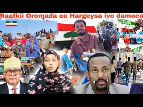 Raafka Oromada Ee Hargeysa Iyo Damaca Oromada