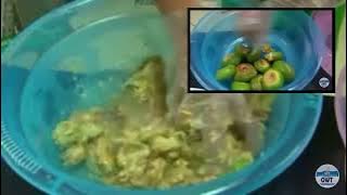 Proses Pembuatan Sirup Mangrove Jenis Pedada