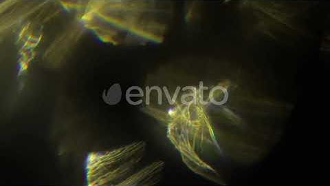 Multicolored Light Leaks Footage on Black Background. Stylizing Video, Transitions. Bokeh Effect...