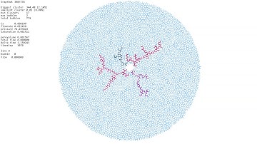 Viscous (?) fingering 2, network model, test