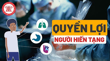 Người Hiến Tạng Được Hưởng Những Quyền Lợi Gì ? TVPL