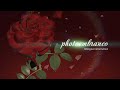 Como editar Templates projetos After Effects para álbum de casamento Wedding Rose
