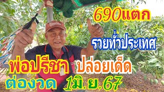 สด690แตกรวยทั่วประเทศ พ่อปรีชาปล่อยเด็ดต่องวด1/06/67