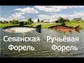 РР3.99 - Прокачка на Рыбхозе - Ловля Ручьевой и Севанской форели