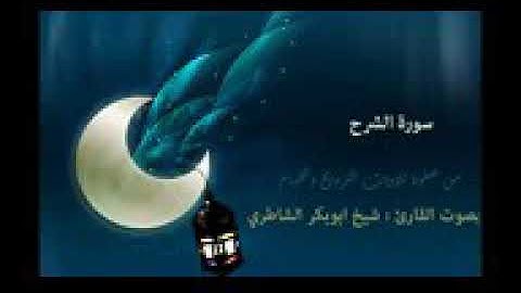 ابو بكر الشاطري سورة الشرح 👇👇