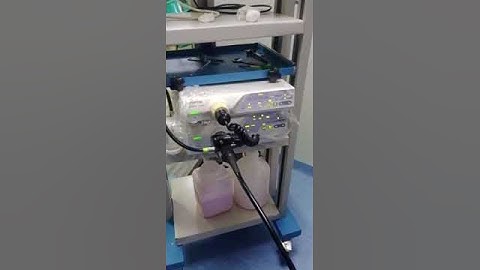 OLYMPUS VIDEO ENDOSCOPY SYSTEM