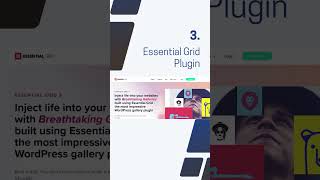 Top 5 Portfolio Plugins for WordPress