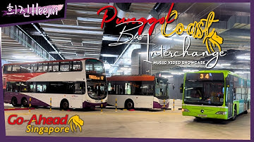 Punggol Coast Bus Interchange First Day of Operations Music Video Showcase | 희진Heejin