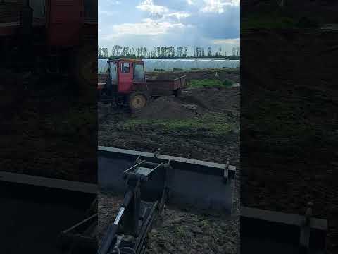 Засыпаем старый пруд,