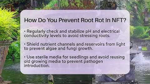 How Do You Prevent Root Rot In NFT? - The Plant Enthusiast