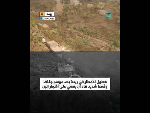 وادي بن حرازي في المهرة... تدهور إنتاج البن
