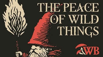 Witch Bolt - The Peace of Wild Things [Dungeon Synth, Comfy Synth, Non-AI]