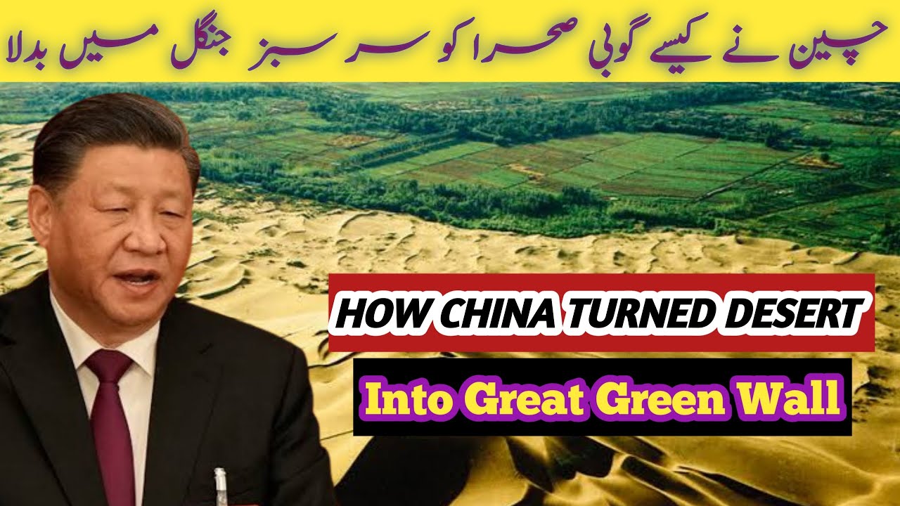 Chaina's Great Green Wall Project | One of the World Largest Desert ...