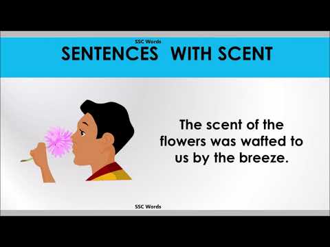 Scent word - Improve English - Meaning and 5 sentences - Scent GRE / CAT / GMAT word - SSC Words