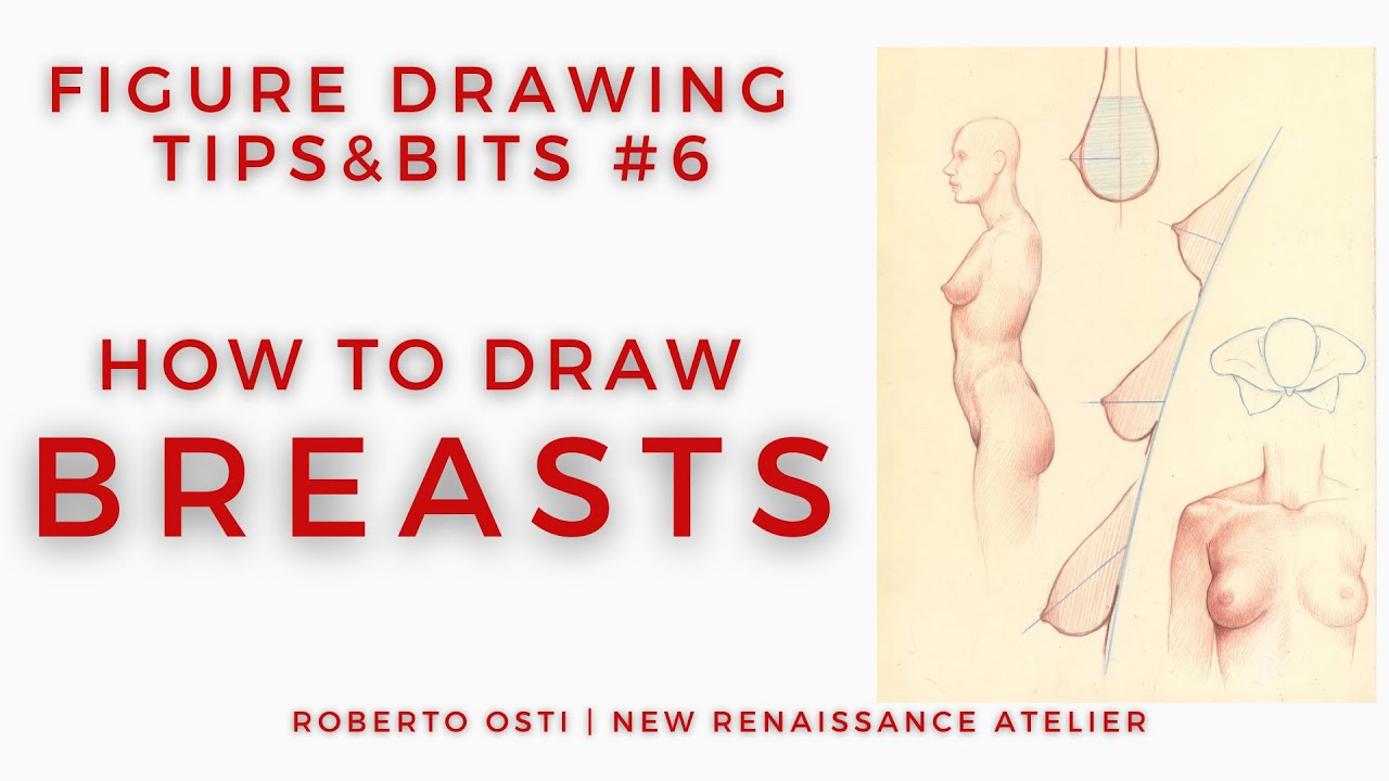 How to draw BREASTS - Roberto Osti's Web Site