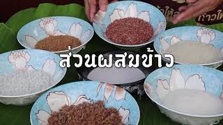 อาหารพื้นถิ่น@จังหวัดปัตตานี