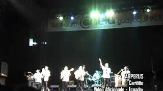ARPERUS CARIÑITO