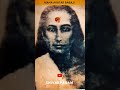 Mahavatar Babaji Original Image