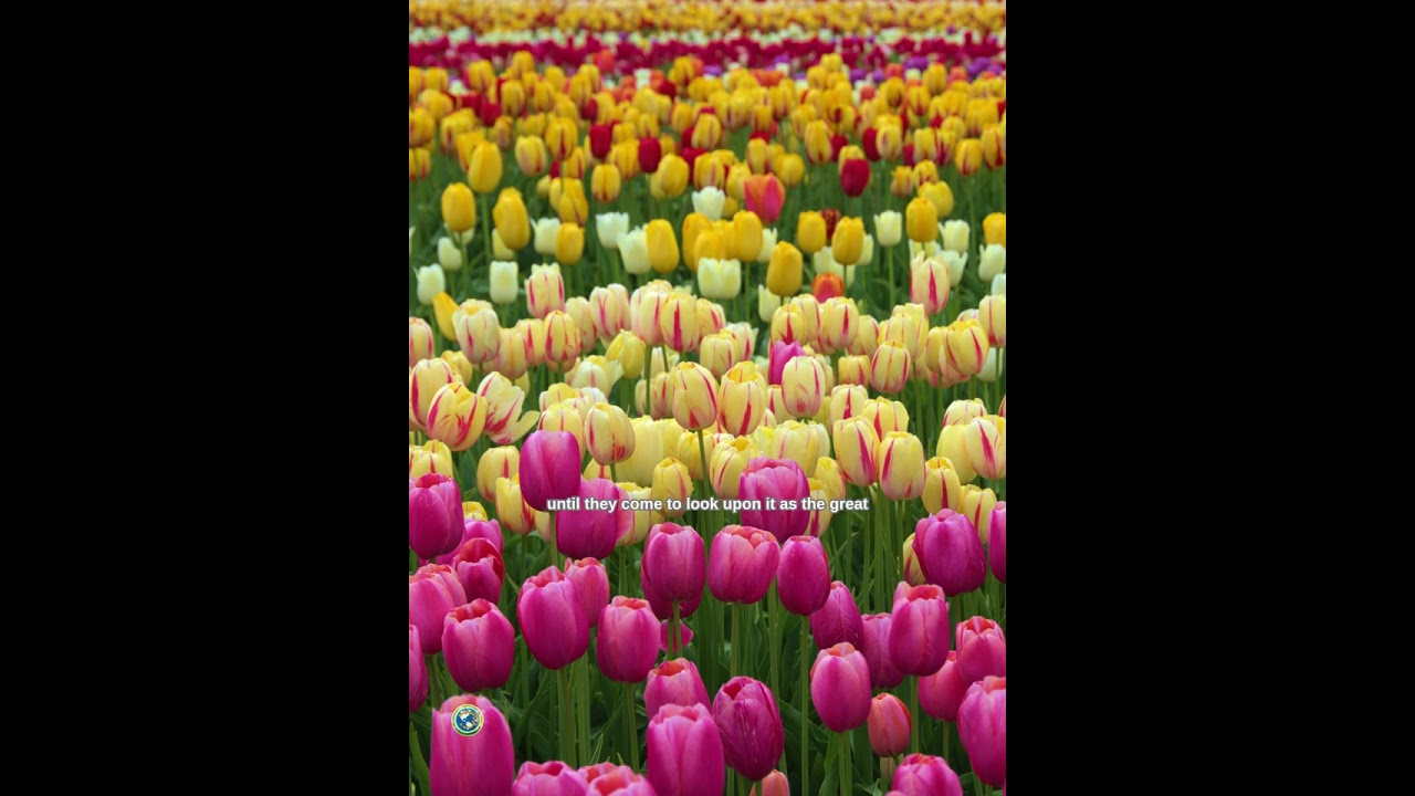 CHRIST'S OBJECT LESSONS | Chapter 2 | Page 36 | Ellen G. White | 1/11/26