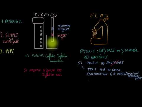 Infections urinaires - Sepsis woman - Episode 2 - Docteur Synapse