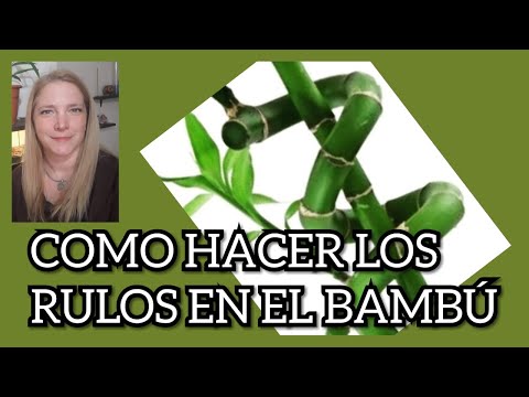 Vídeo: Com Girar El Bambú En Una Espiral