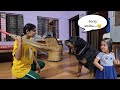Anshu is very angry with oggy....😡|| funny dog videos ||snappy girls #dog #rottweiler #emotional |