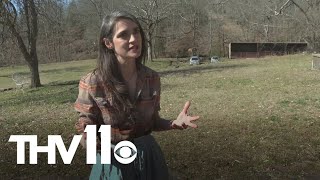 Land with Arkansas ghost towns up for sale