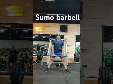 سومو هالتر یک حرکت چند مفصلی عالی آموزشی رژیمی اندام تکنیک بدنسازی مربی بدنسازی ورزشی سومو