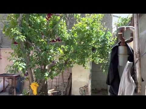 طرح سپهبد بیش از بیست میلیون تومان کمک به زنان و معلولین