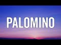 Miniature de la vidéo de la chanson Palomino