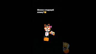 🐱/🦊
