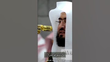 سورة القدر | الشيخ بندر بليلة #ليلة_القدر #رمضان_2024 #تلاوة_خاشعة #قرآن #quran