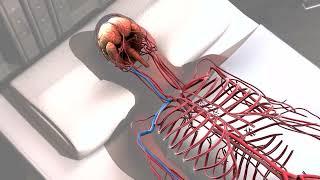 Using AAV-IL2 in the clinic