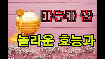 마누카꿀 놀라운 효능과 마시는 방법, 그리고 주의할 점 | Share자연치유법