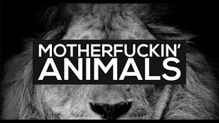 Brian Mart - Fucking Animals (Original Mix) (Martin Garrix Vocal)