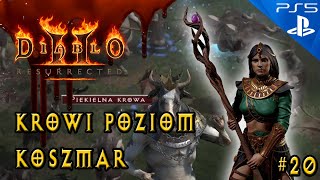 Diablo 2 Resurrected 20 KROWI POZIOM Koszmar Muu mu PS5 HD Czarodziejka