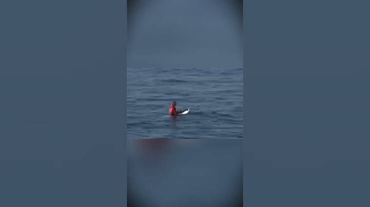 Surfing with sharks in the United States