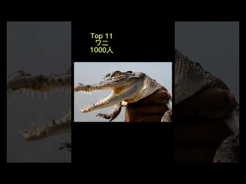 祝 1000回再生最も人間を殺した動物 Nevada Sped バズりたい Shorts