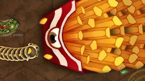 Rắn săn mồi-Game con giun đất Chuyên đi săn- Little Big snake.io#43