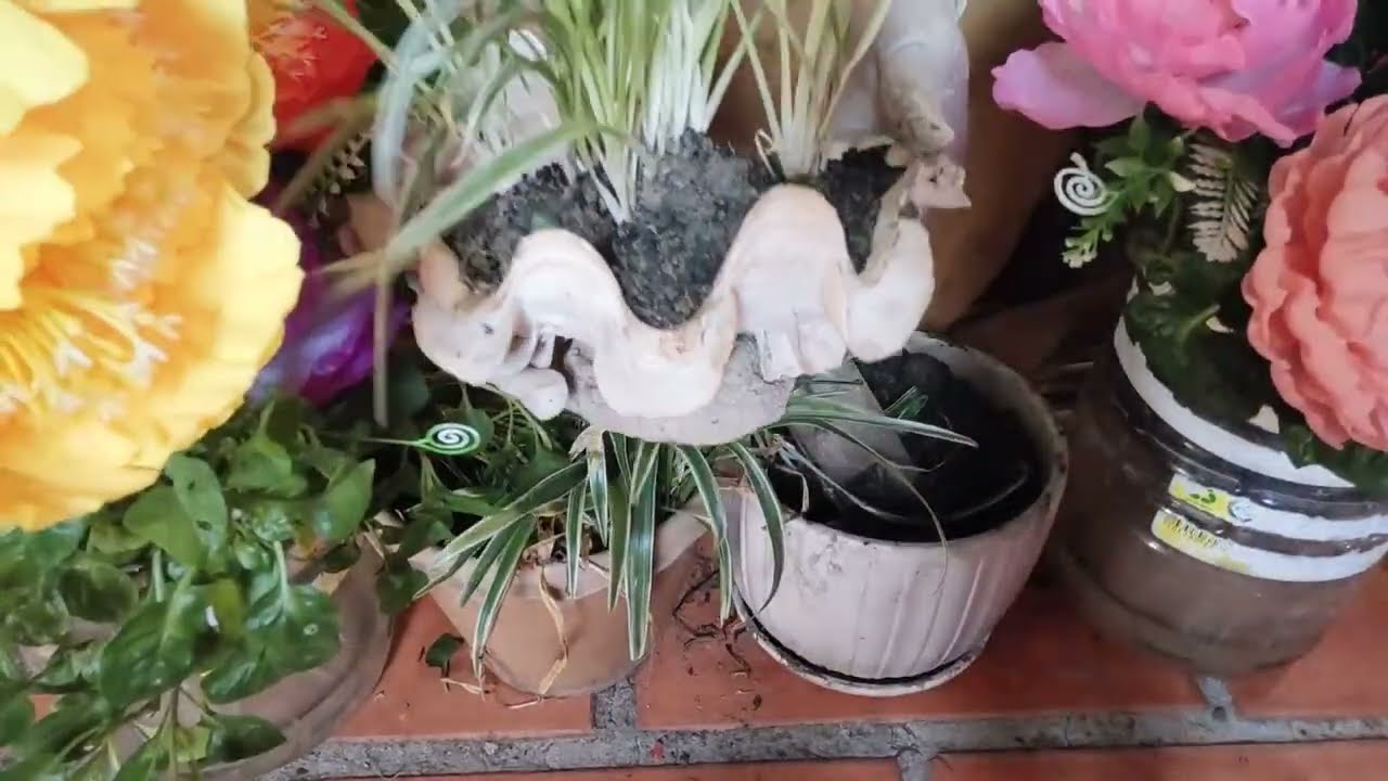 Mencoba Tanaman Asli Bunga Di dalam Vas Bagian
