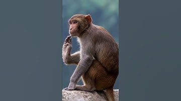 Remember Bloons Tower Defense 3